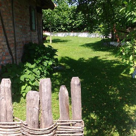 Lodge Morava Vrnjačka Banja Exteriör bild