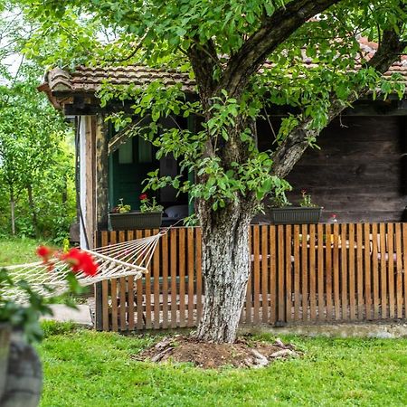 Lodge Morava Vrnjačka Banja Exteriör bild
