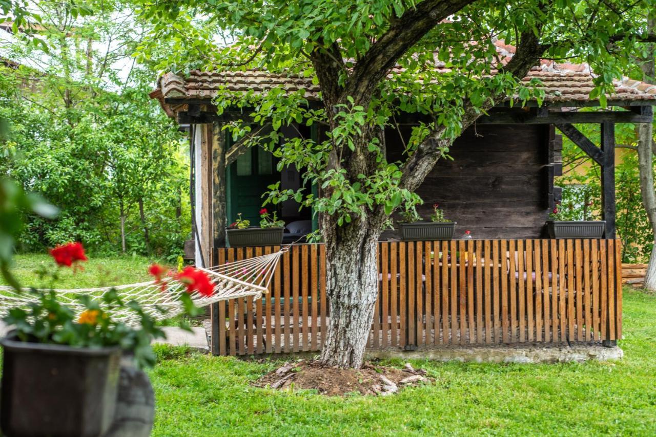 Lodge Morava Vrnjačka Banja Exteriör bild