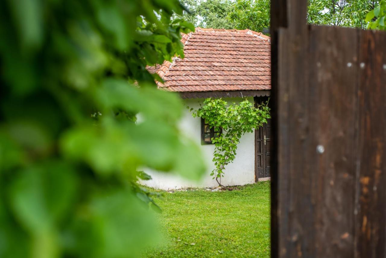 Lodge Morava Vrnjačka Banja Exteriör bild