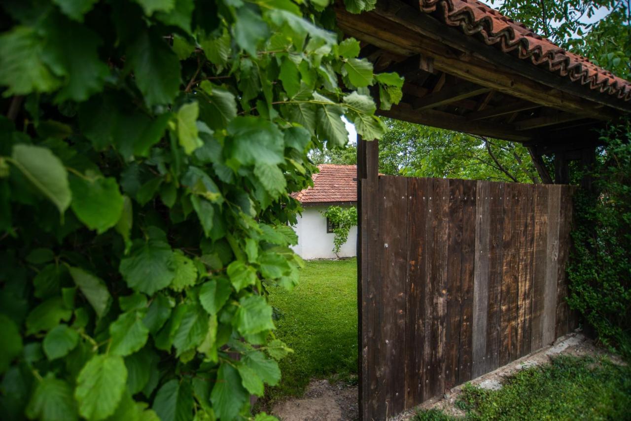 Lodge Morava Vrnjačka Banja Exteriör bild